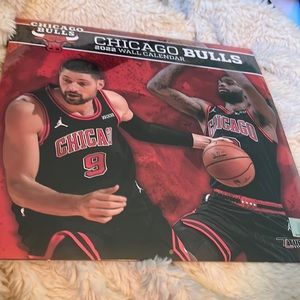 New Chicago Bulls 2022 Wall Calendar NWT